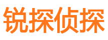 新兴寻人公司